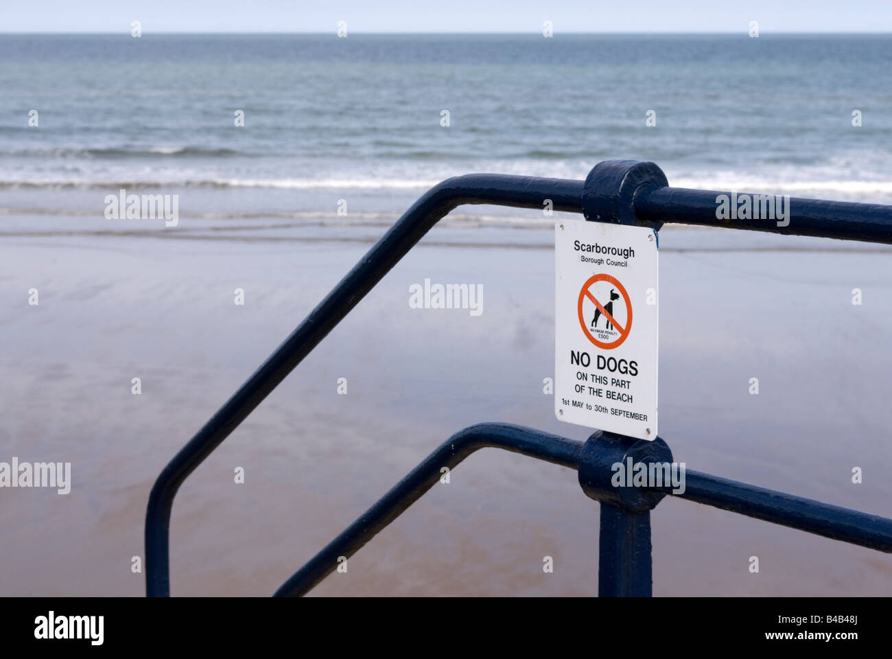 Advertencia signo caminantes que no se admiten perros en la playa Filey East Yorkshire, Inglaterra Foto de stock