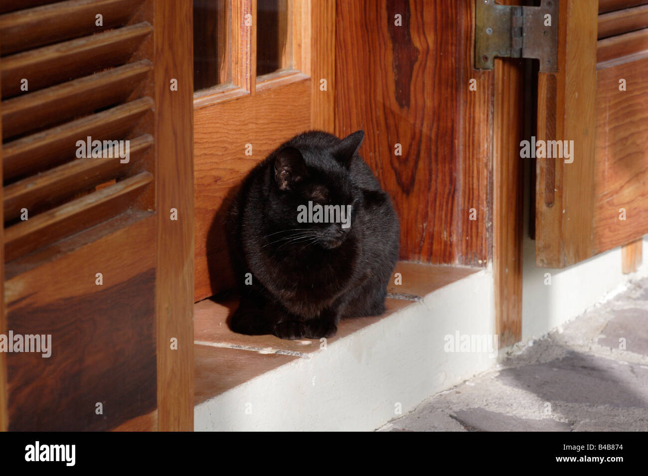 Gato negro tomando el sol a sí misma en una puerta de color rojo marrón en La Gomera Foto de stock