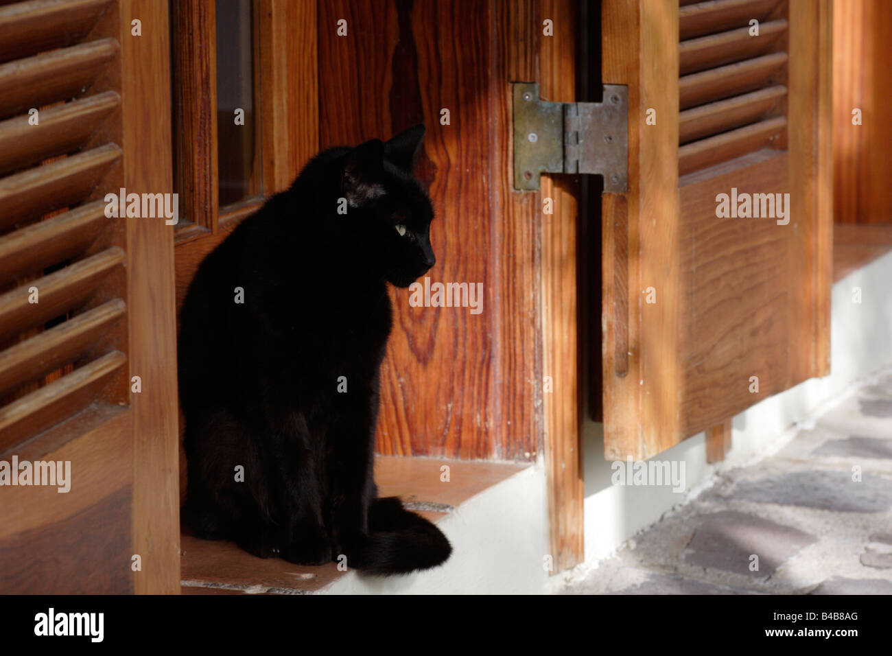 Gato negro tomando el sol a sí misma en una puerta de color rojo marrón en La Gomera Foto de stock