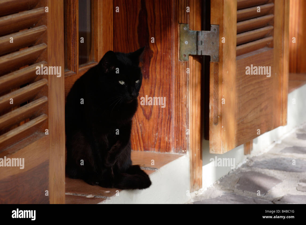 Gato negro tomando el sol a sí misma en una puerta de color rojo marrón en La Gomera Foto de stock