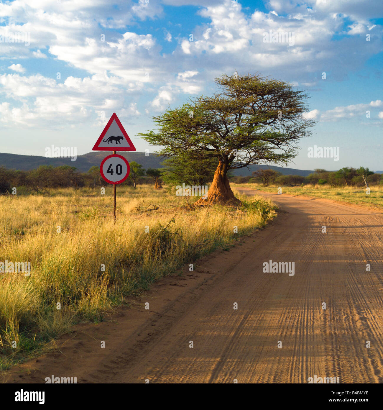 Firmar en el lado de un camino de tierra, Namibia, África Foto de stock