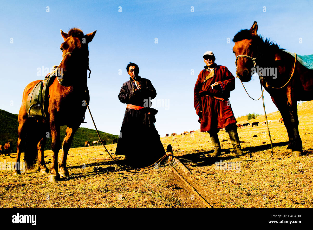 Los nómadas mongoles en las vastas praderas de Mongolia Foto de stock