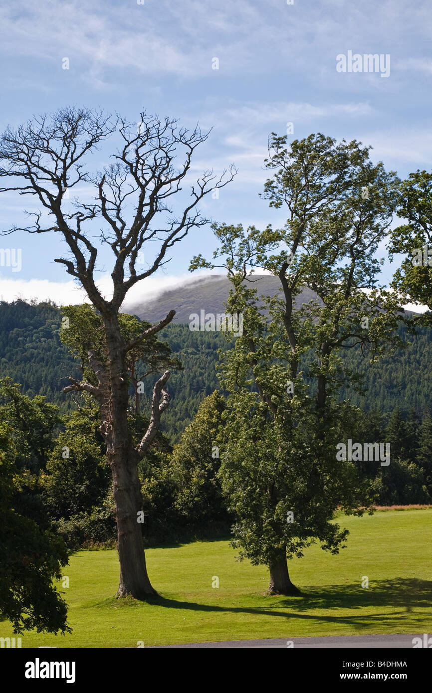 Tollymore parque cerca de Newcastle, las Montañas Mourne, Condado de Down, Irlanda del Norte Foto de stock