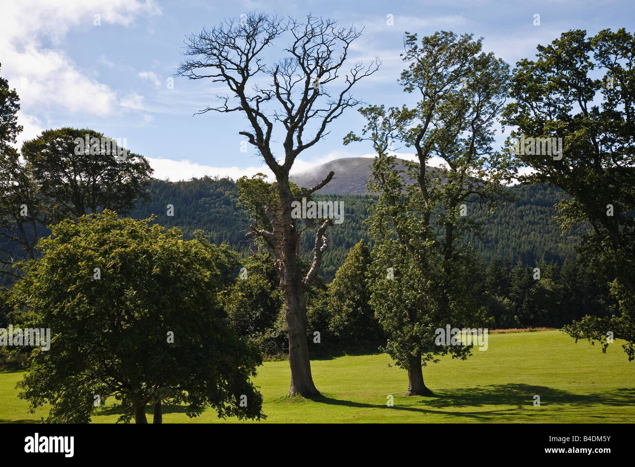 Tollymore parque cerca de Newcastle, las Montañas Mourne, Condado de Down, Irlanda del Norte Foto de stock