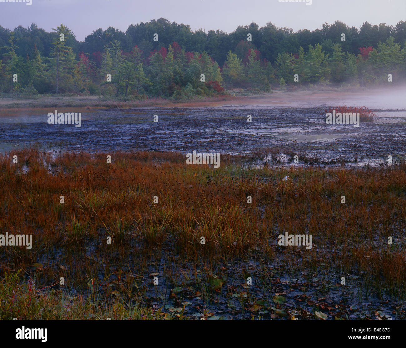 Ponemah bog fotografías e imágenes de alta resolución Alamy