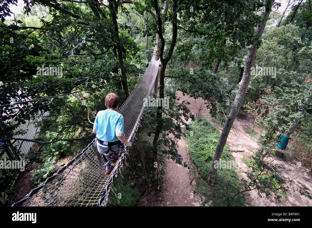 Cuerda de escalada aventura en los árboles en los bosques de altura Foto de stock