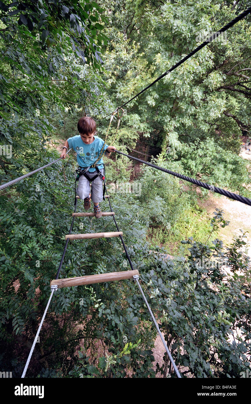 Cuerda de escalada aventura en los árboles en los bosques de altura Foto de stock