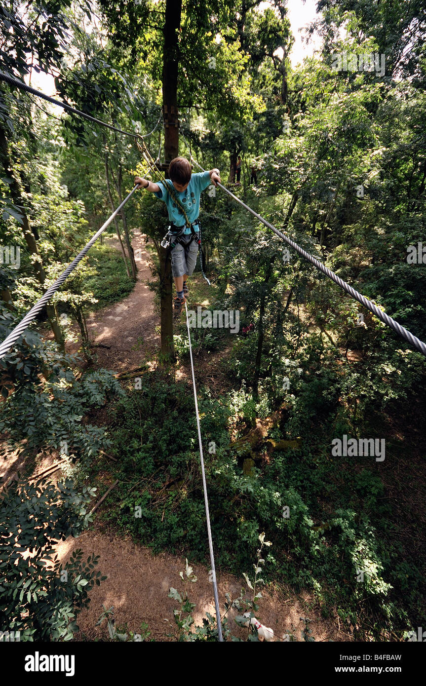 Cuerda de escalada aventura en los árboles en los bosques de altura Foto de stock