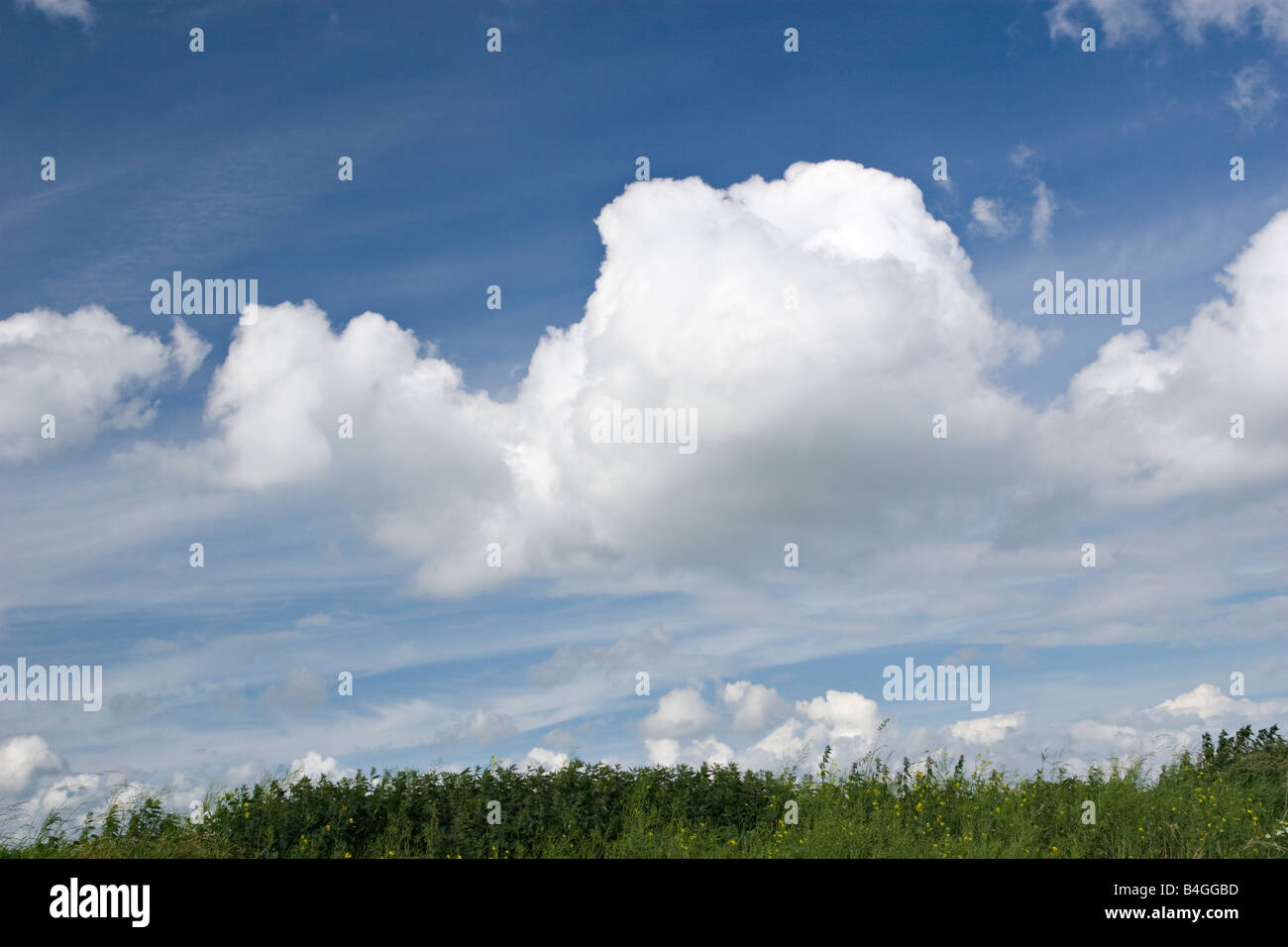 Las Nubes Cumulos Mediocris O Fair Weather Cumulus Fotografia De Stock Alamy Las Nubes Cumulos Mediocris O Fair Weather Cumulus Fotografia De Stock Alamy