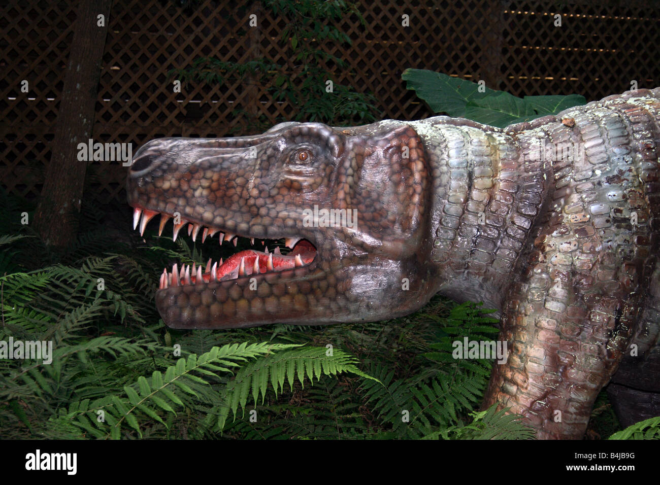 Saurosuchus dinosaurio en mundo de los dinosaurios, Plant City, FL  Fotografía de stock - Alamy