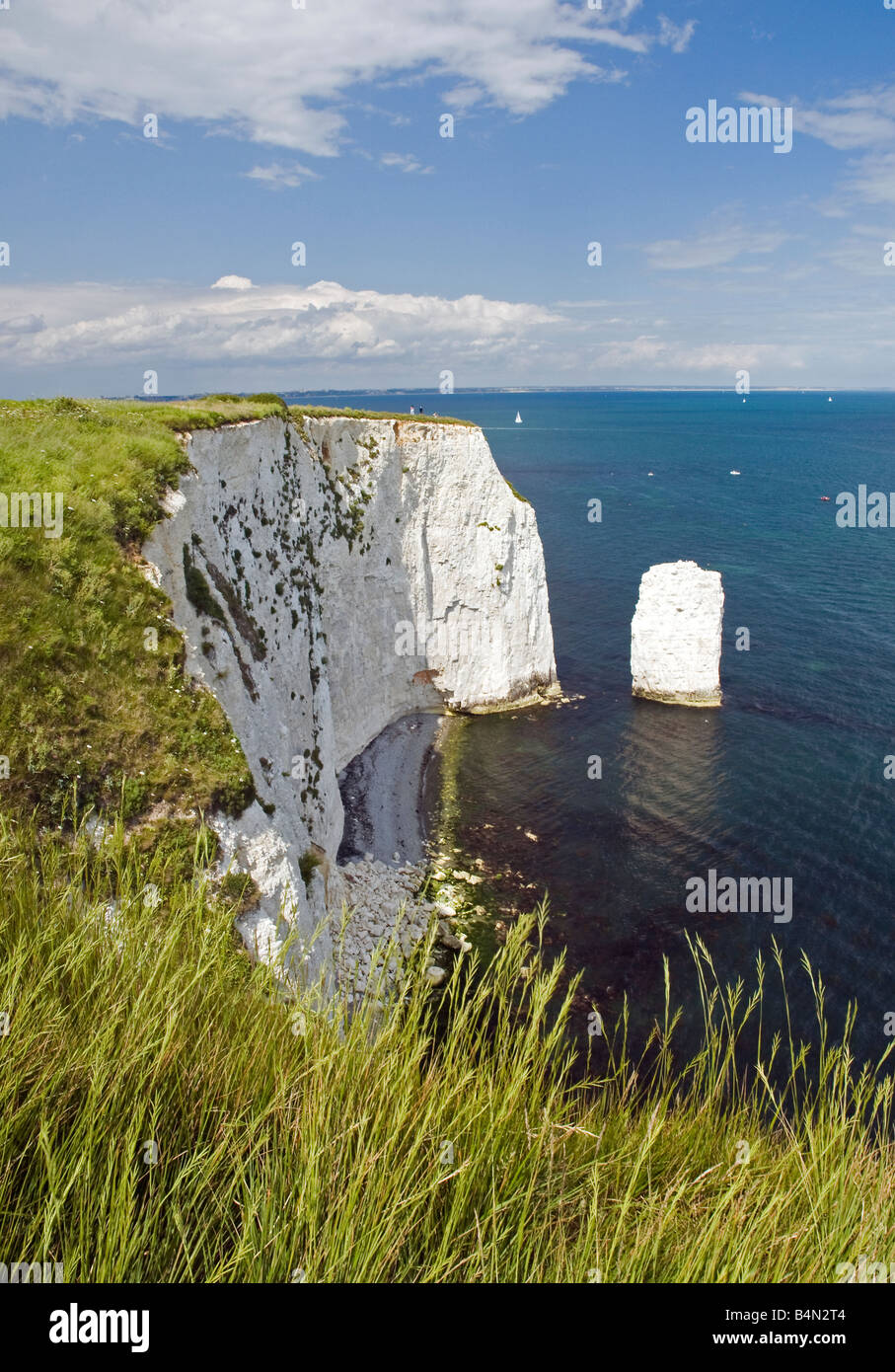 Old Harry Rocks situado directamente al este de Studland y al norte de Swanage en Dorset, Inglaterra, Reino Unido. Foto de stock