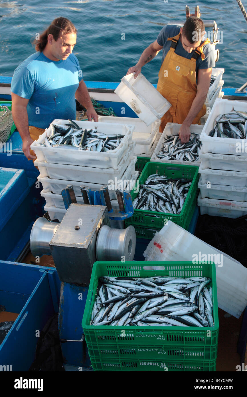 La clasificación por tipo de captura de peces antes de la descarga desde el barco en Playa San Juan Tenerife Islas Canarias Foto de stock