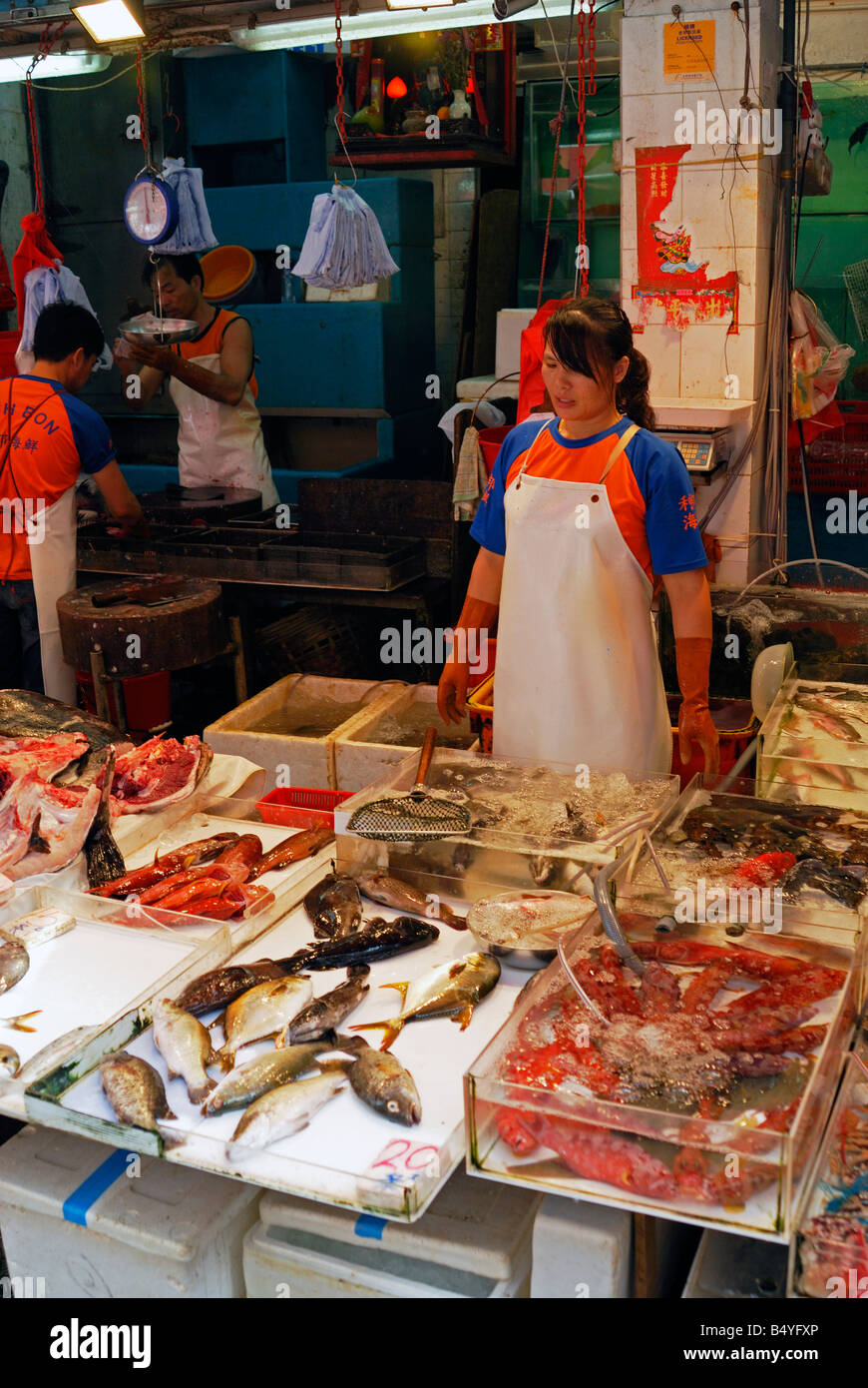 Mercado de Pescado de Wanchai, Hong Kong Foto de stock