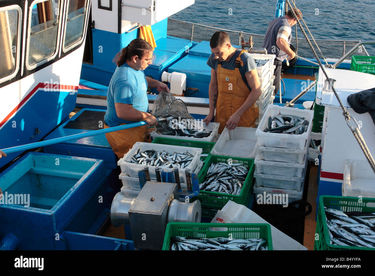 La clasificación por tipo de captura de peces antes de la descarga desde el barco en Playa San Juan Tenerife Islas Canarias Foto de stock