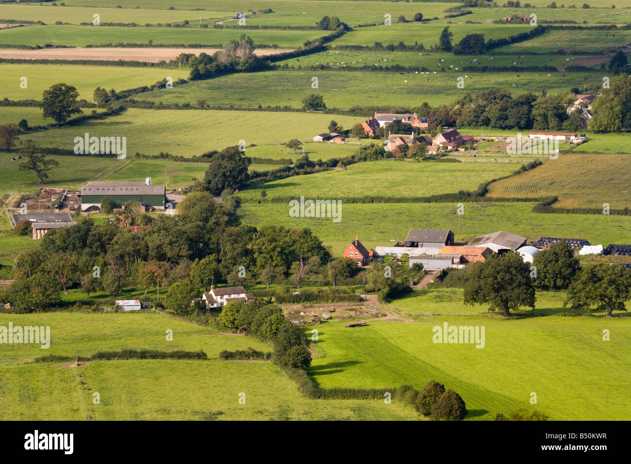 Tres fincas en el Severn Vale poco Haresfield, Gloucestershire - vista desde la baliza Haresfield Foto de stock