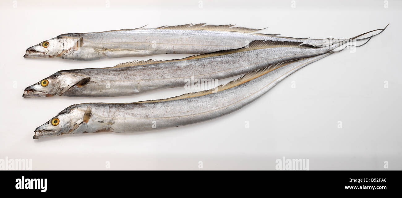 3 pescados de la cinta Fotografía de stock - Alamy