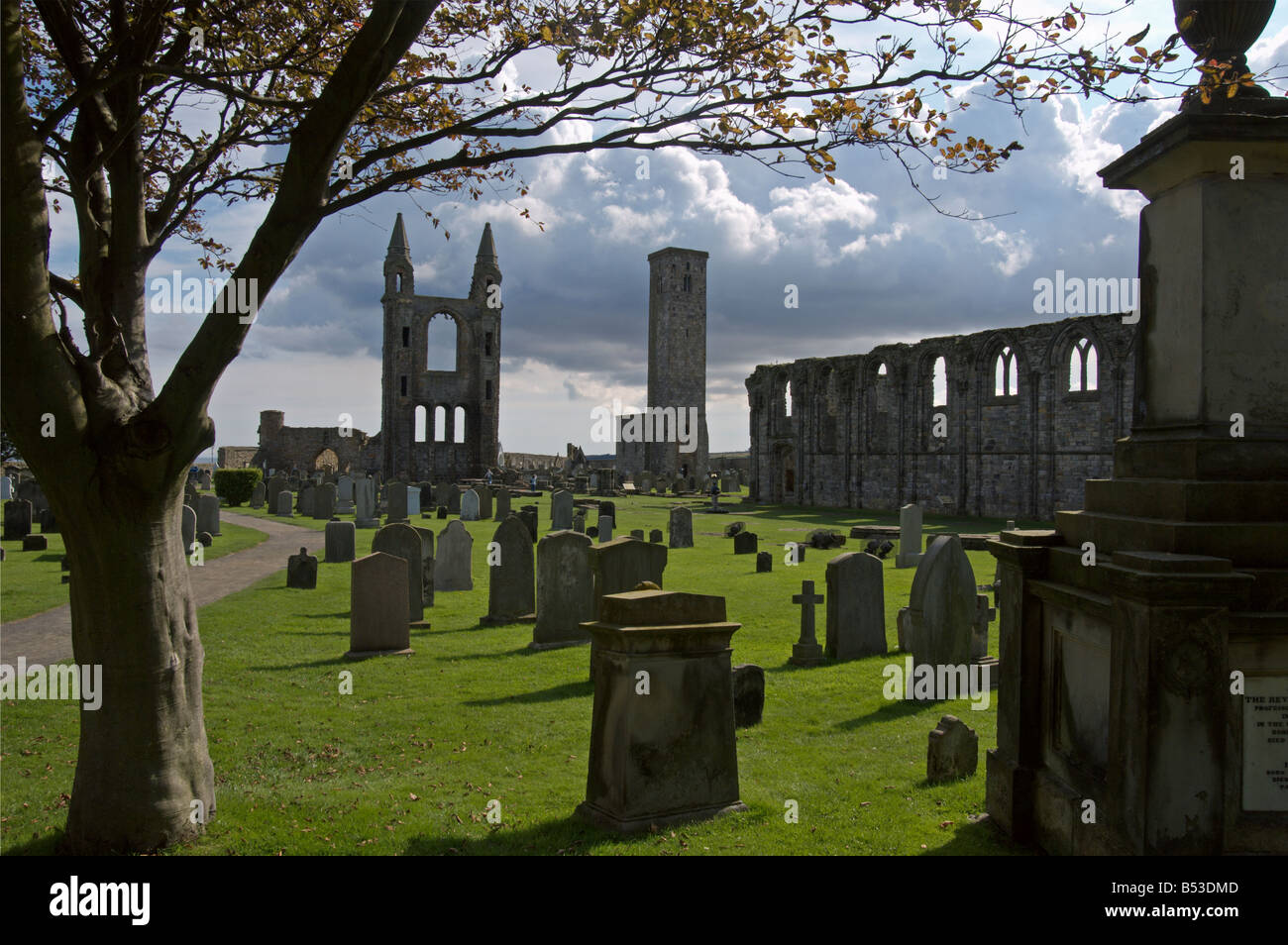 Ruinas de la Catedral de St St Andrews Fife Torre Reglas de Escocia Foto de stock