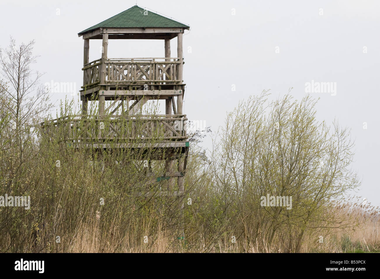 Torre de control tower para ver observar la fauna de aves Foto de stock