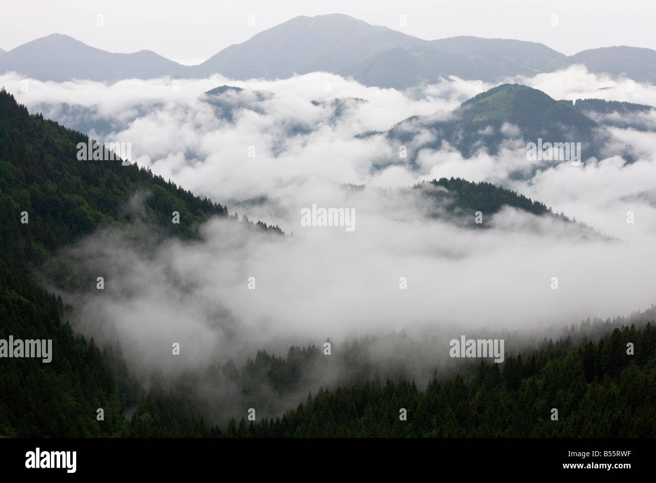 Misty mañana en las estribaciones de los Alpes Julianos sur mirando hacia el sur desde las colinas Skofjelosk Eslovenia Foto de stock