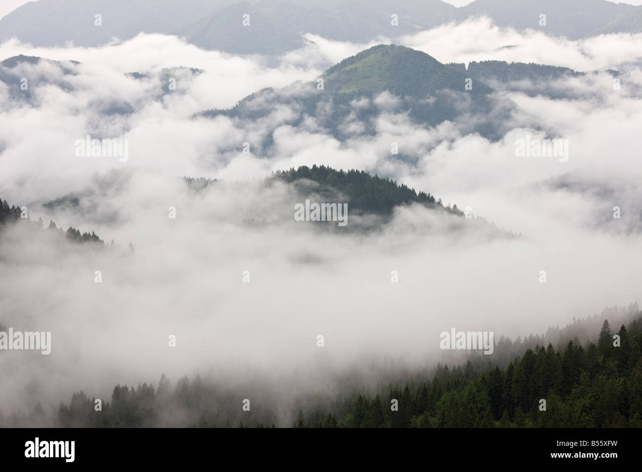 Misty mañana en las estribaciones de los Alpes Julianos sur mirando hacia el sur desde las colinas Skofjelosk Eslovenia Foto de stock