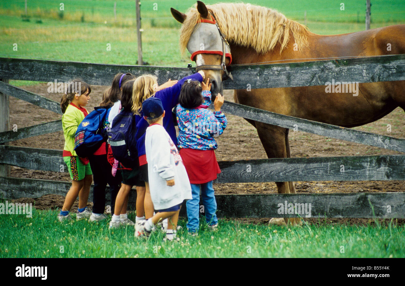 Los niños se reúnen un residente de granjas Alasa, Alton, Nueva York Foto de stock