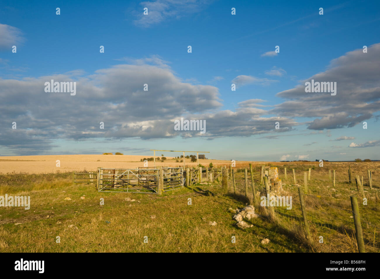 Vista de la isla de Sheppey, Kent, UK Foto de stock