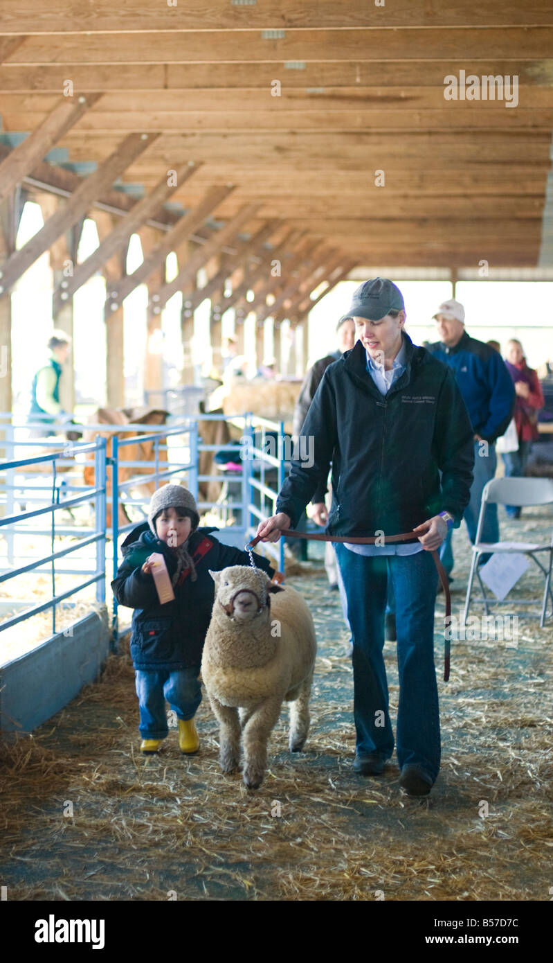 El padre y el hijo caminando a sus ovejas, que acaba de ganar una cinta en el anual Festival de Ovejas y Lana en Rhinebeck, Nueva York Foto de stock