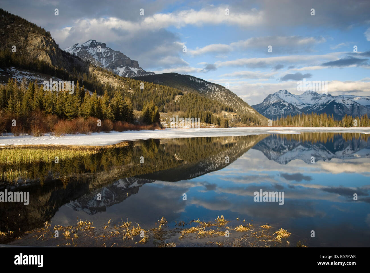 Vermilion Lakes, el Parque Nacional Banff, Sitio del Patrimonio Mundial de la UNESCO, Montañas Rocosas, Alberta, Canadá, Norteamérica Foto de stock