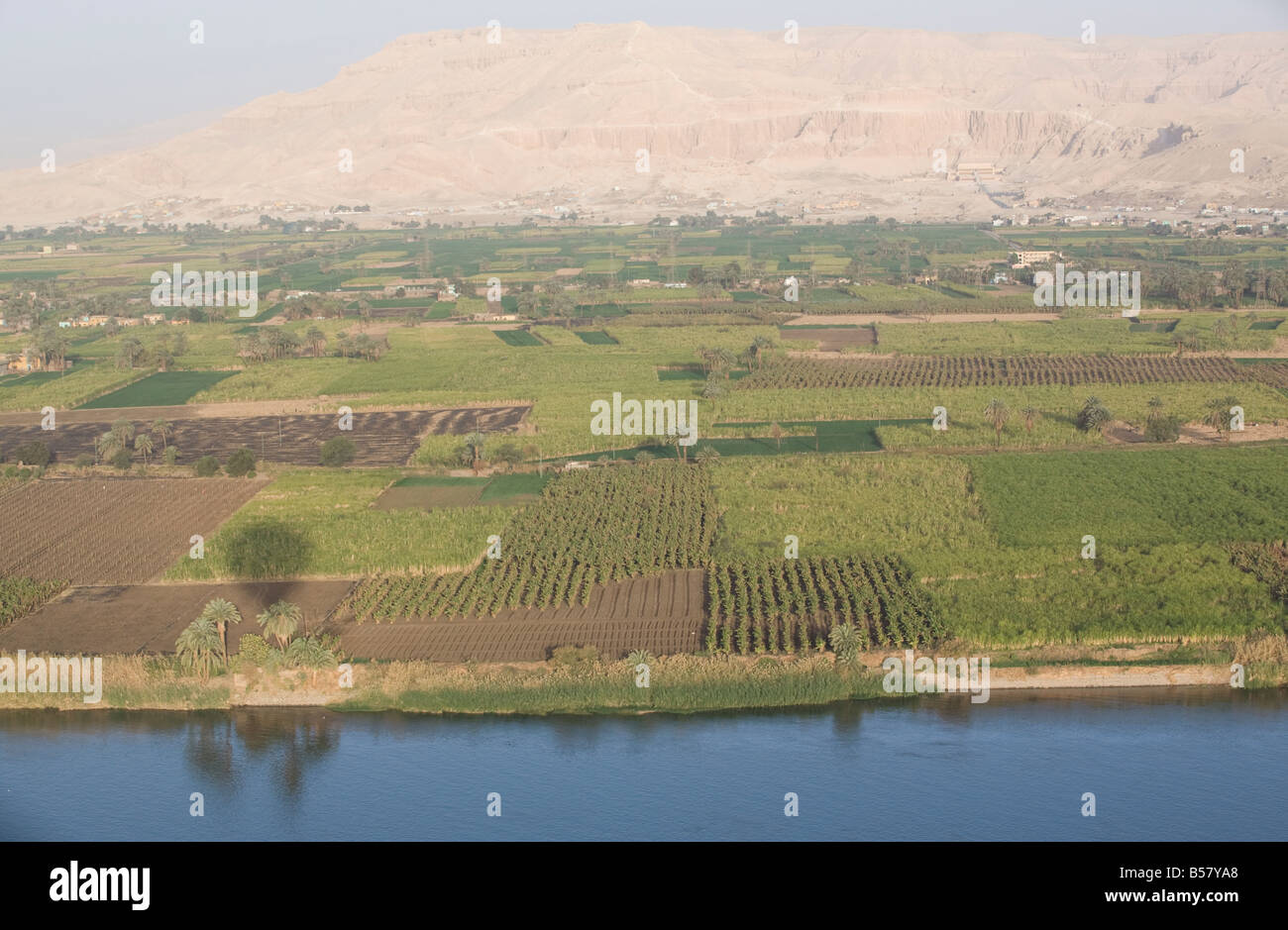 Vista del lado del río Nilo con el Templo de Deir el Bahari en el fondo, Tebas, Egipto, el Norte de África, África Foto de stock