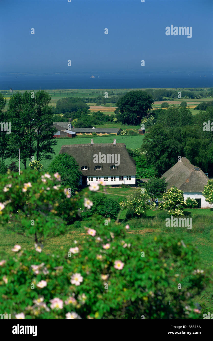 Cabañas con techo de paja y tierras agrícolas, la isla de Aero, Dinamarca, Escandinavia, Europa Foto de stock