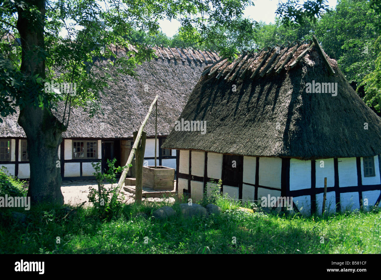 Edificios de entramado de madera con techo de paja y pozo de agua en la granja de hule Village Museum, Fionia, Dinamarca, Escandinavia, Europa Foto de stock