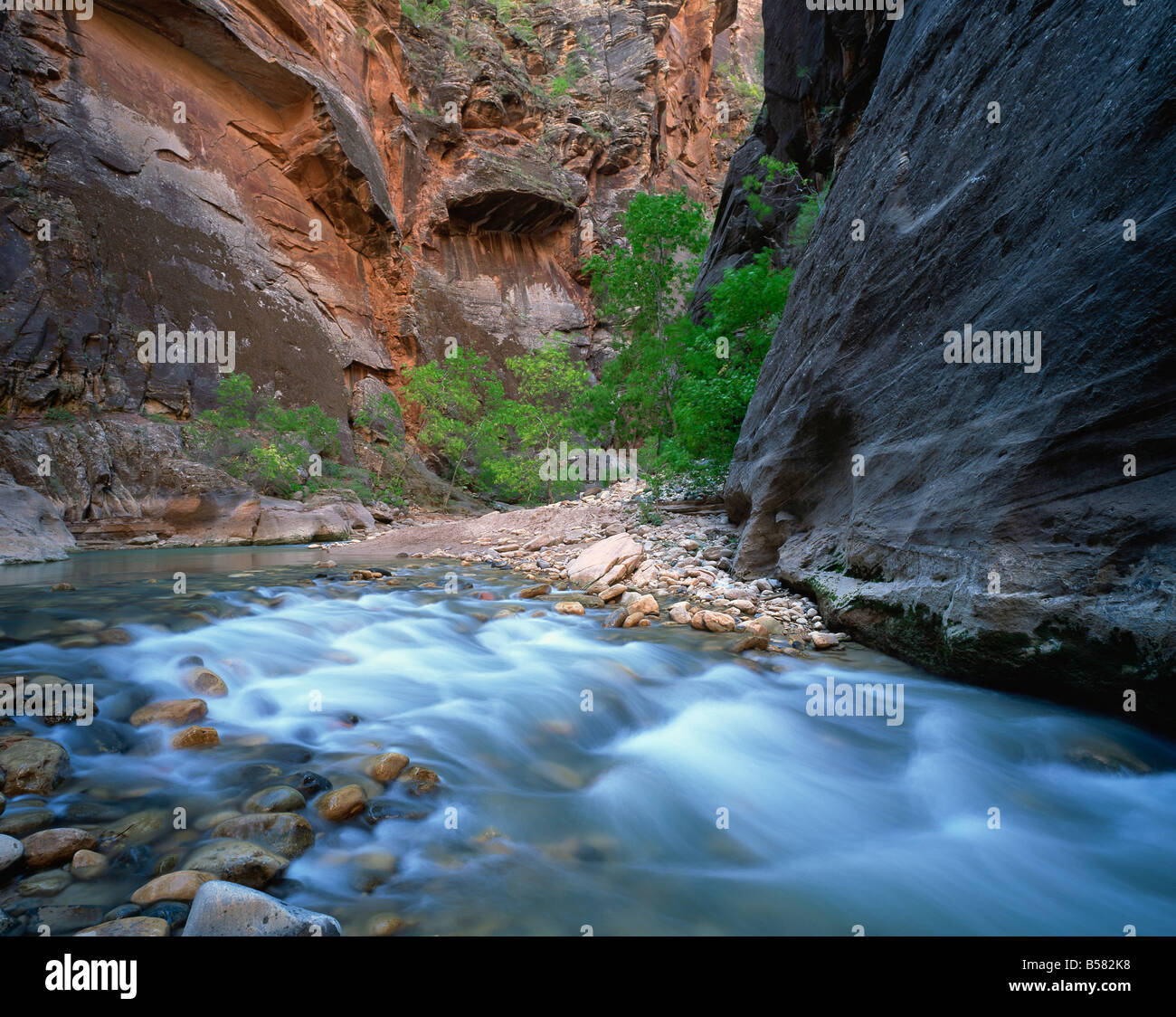 Virgen río que fluye a través de la Virgen se estrecha, el Parque Nacional de Zion, Utah, Estados Unidos de América, América del Norte Foto de stock