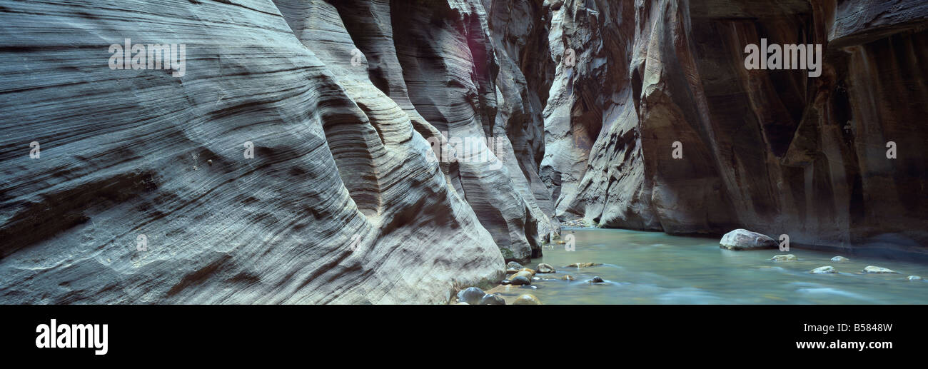 Virgen río que fluye a través de la Virgen se estrecha, el Parque Nacional de Zion, Utah, Estados Unidos de América, América del Norte Foto de stock