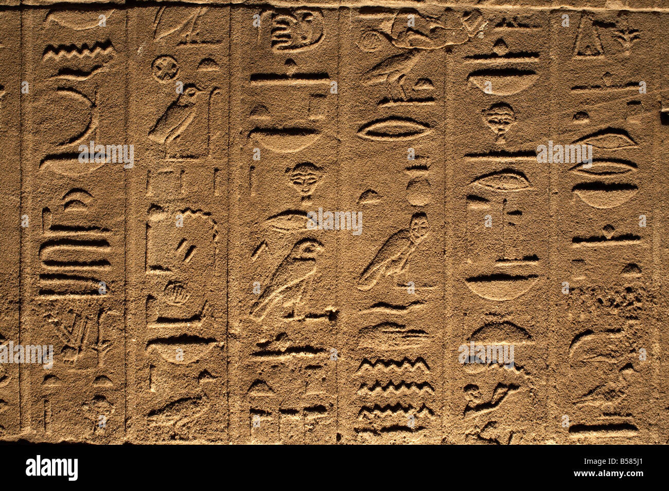 Los jeroglíficos que adornan las paredes del templo de Philae, Sitio del Patrimonio Mundial de la UNESCO, cerca de Asuán, Egipto, el Norte de África, África Foto de stock