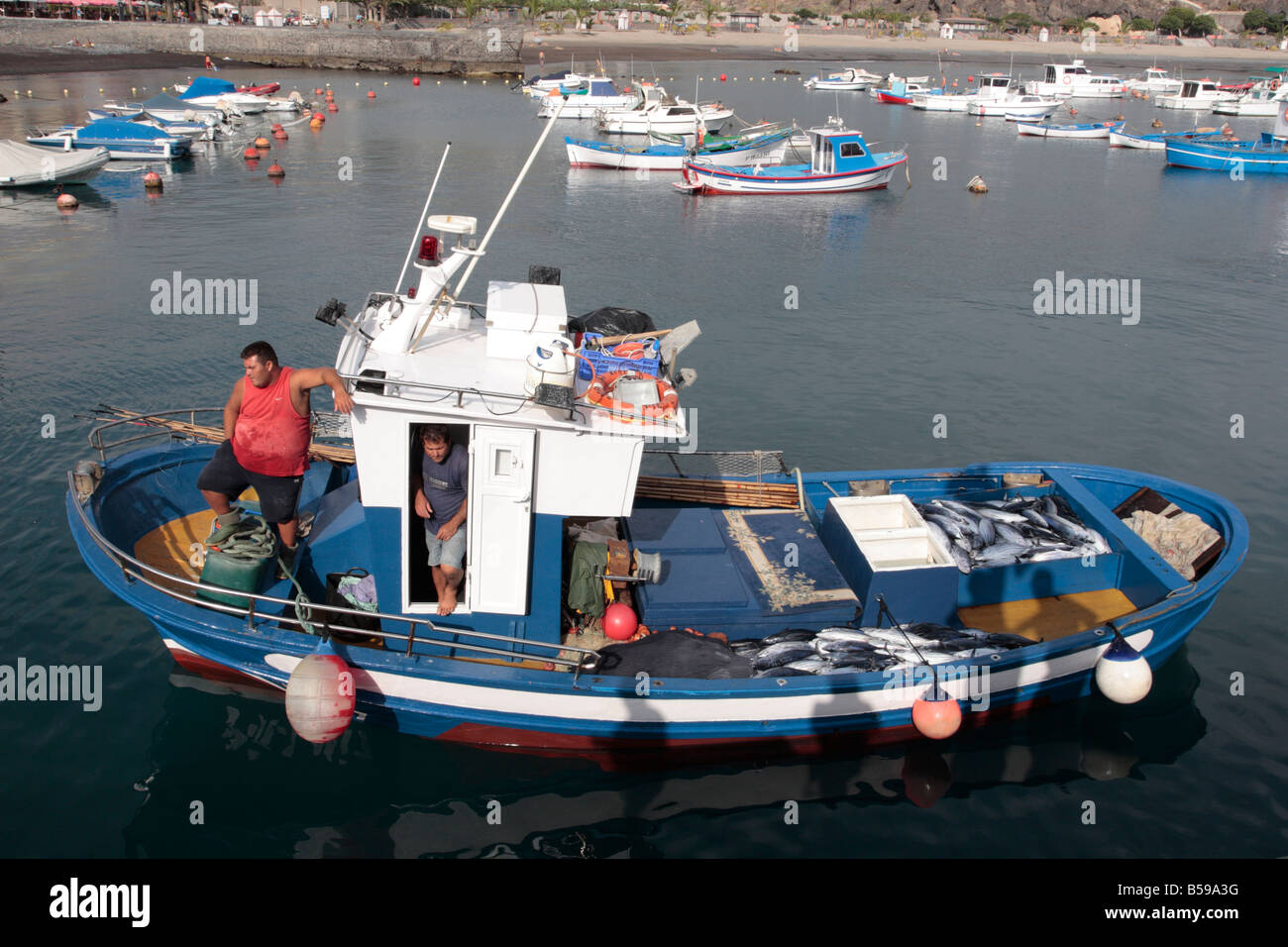 Bonito pez sobre la cubierta de un barco que llega a la Playa San Juan Tenerife Islas Canarias Foto de stock