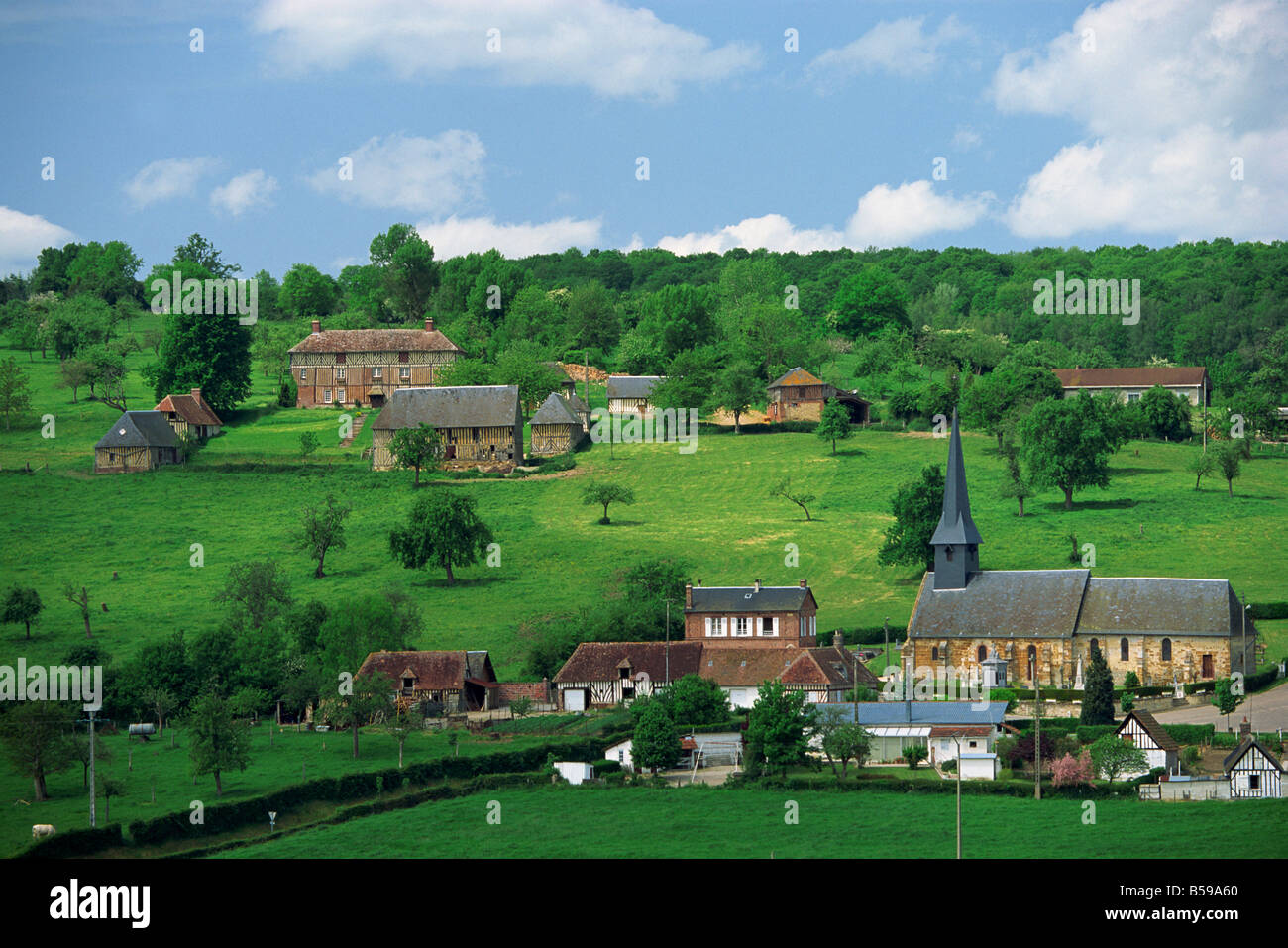 Las aldeas y granjas de Camembert, famosa por el queso, en Basse Normandie, Francia, Europa Foto de stock