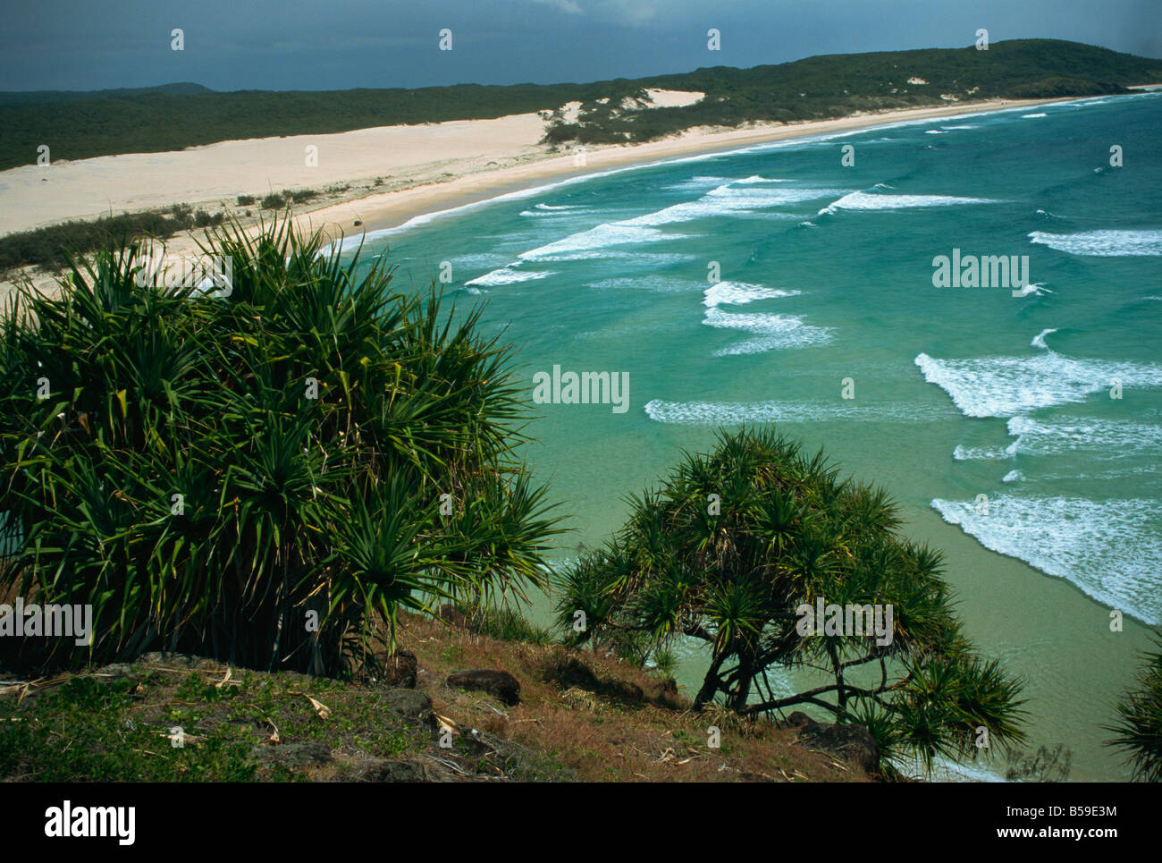 Indian Head Beach Isla Fraser Sitio de Patrimonio Mundial de la UNESCO Queensland Australia pacífico Foto de stock