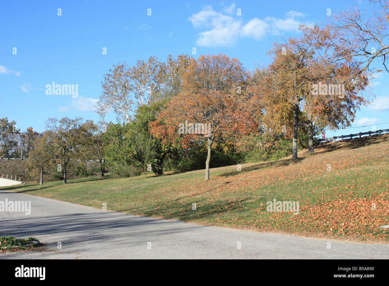 Temporada de otoño colores árboles naturaleza depósito Griggs park Columbus Ohio Foto de stock
