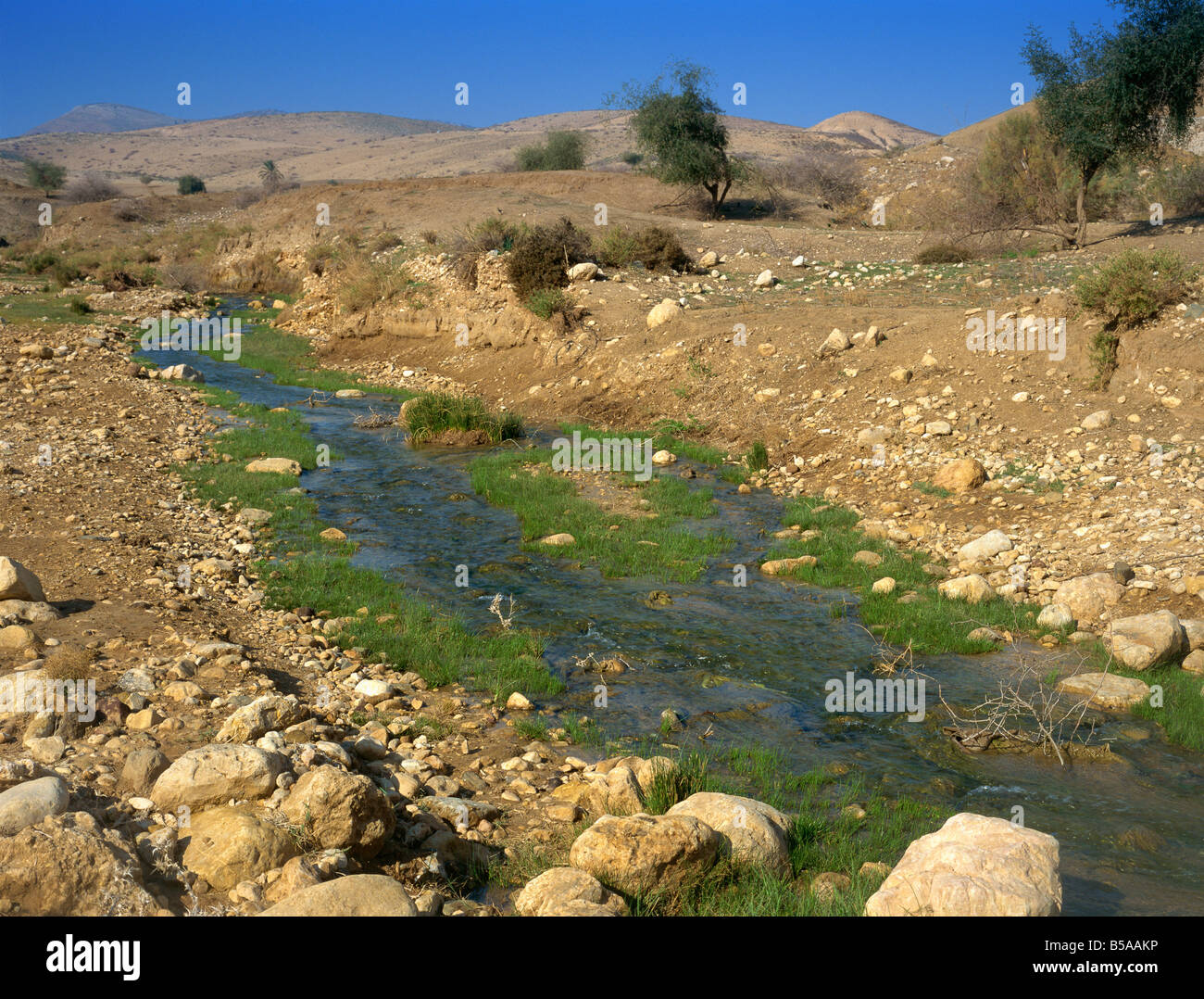 Corriente de agua corriendo a través del desierto de Judea, Israel, Oriente Medio Foto de stock