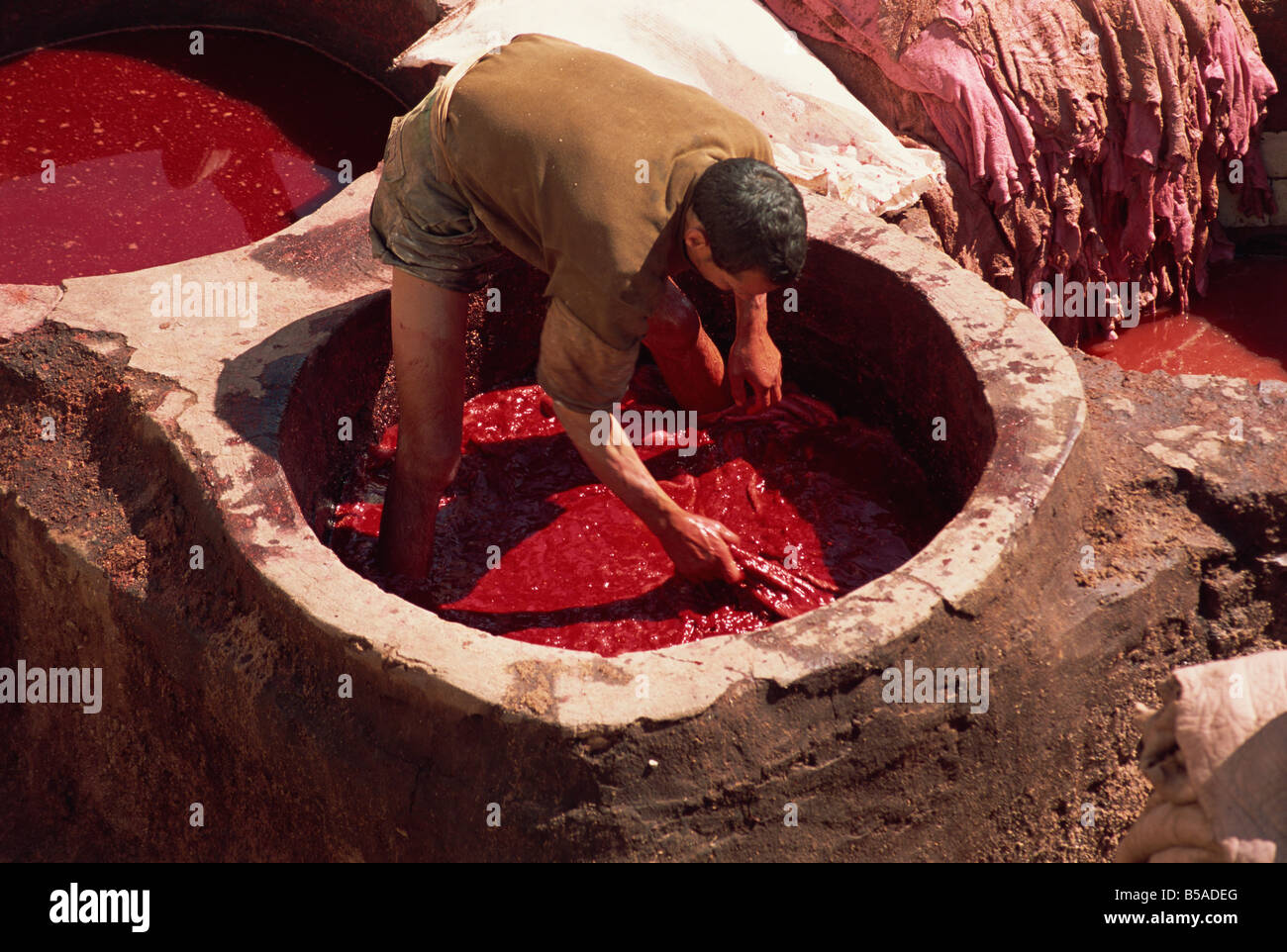 Hombre trabajando en la tenería, Fez, Marruecos, Norte de África, África Foto de stock