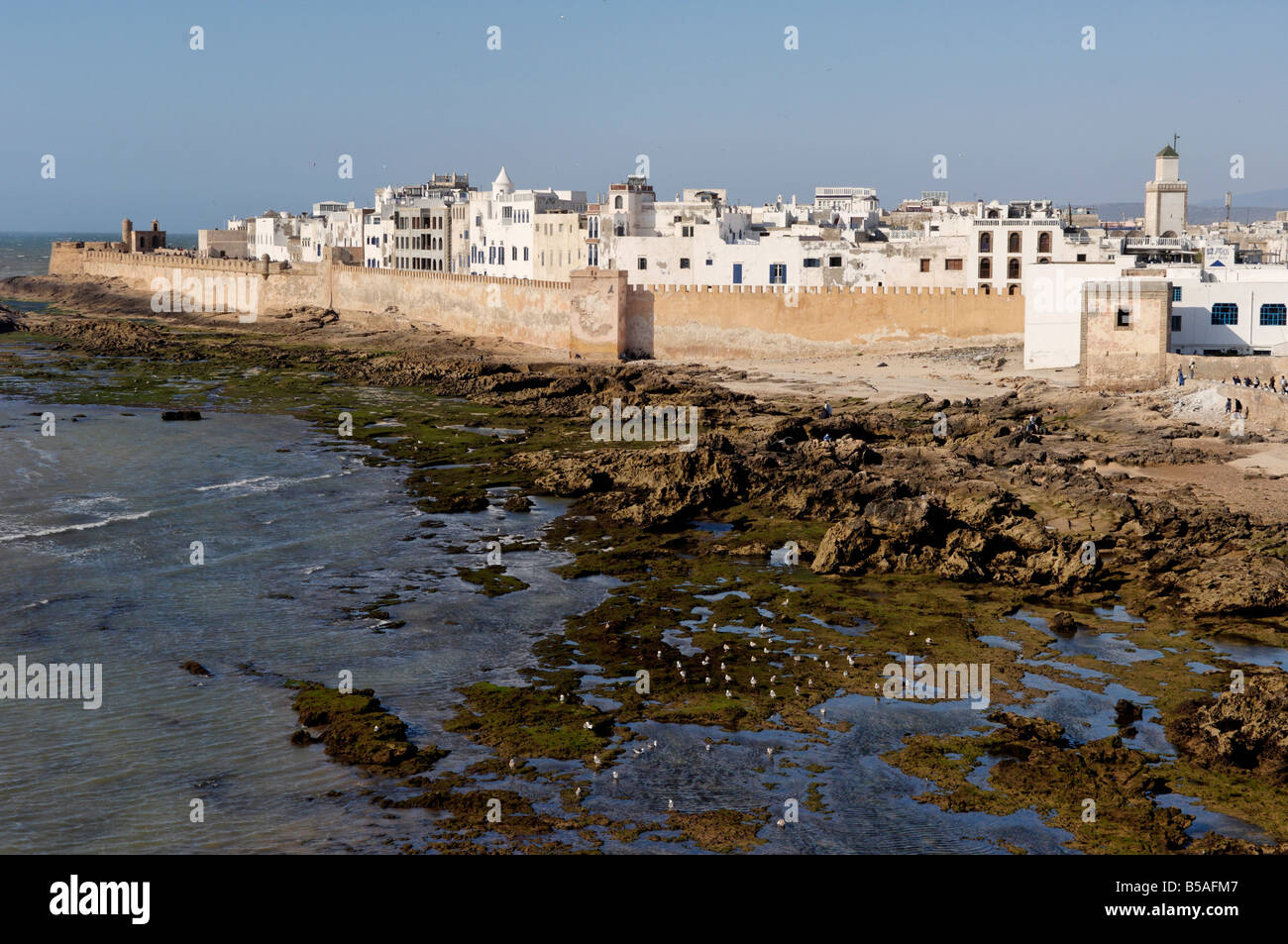 Antigua ciudad costera detrás de murallas, Essaouira, ciudad histórica de Mogador, Marruecos, Norte de África, África Foto de stock