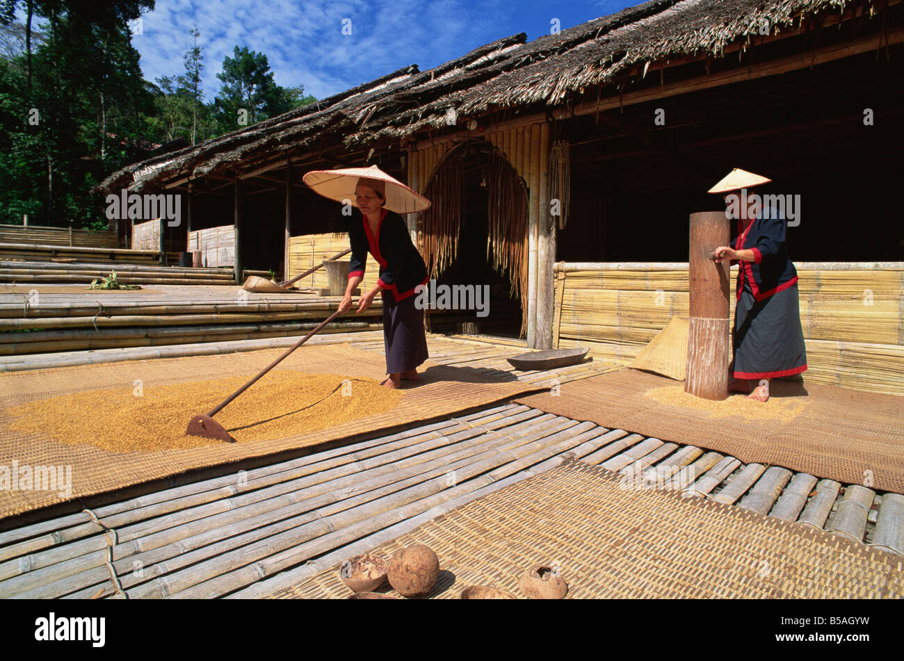 Longhouse Bidayu Aldea Cultural Sarawak, Malasia, Sudeste de Asia Foto de stock