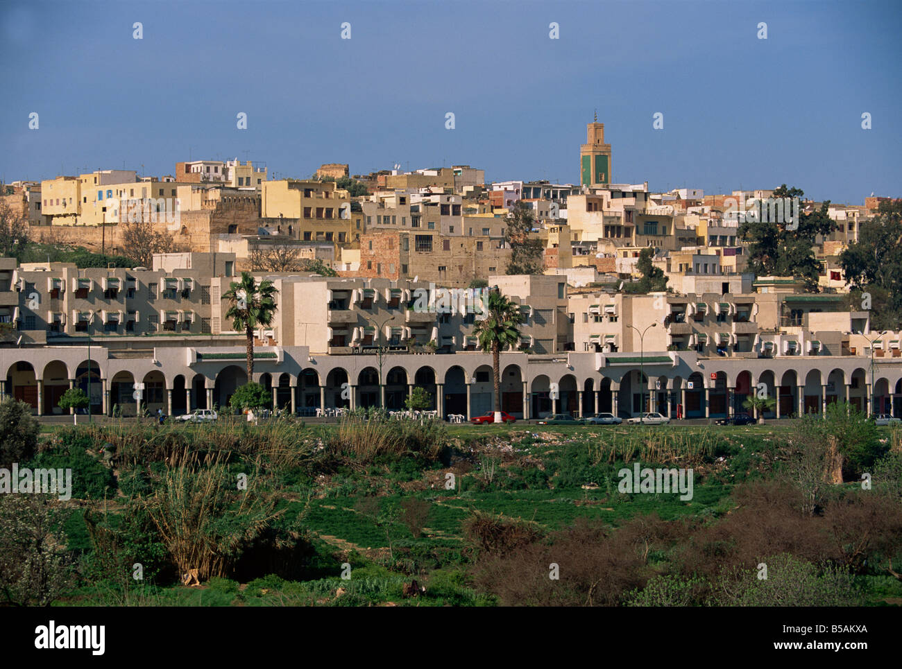 El horizonte de la ciudad, Meknes, Marruecos, Norte de África, África Foto de stock
