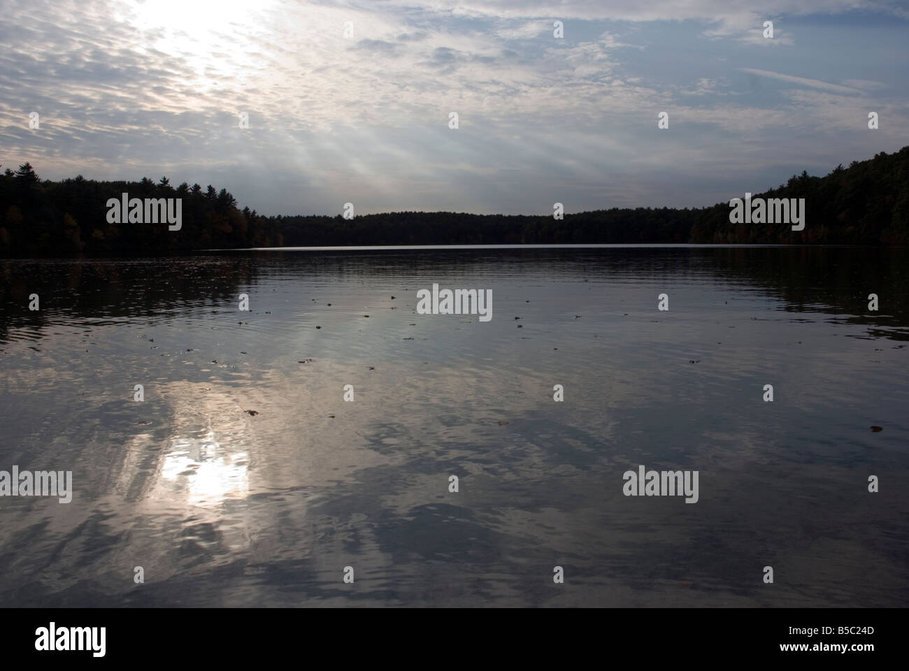 Walden Pond, Concord, Massachusetts. Foto de stock