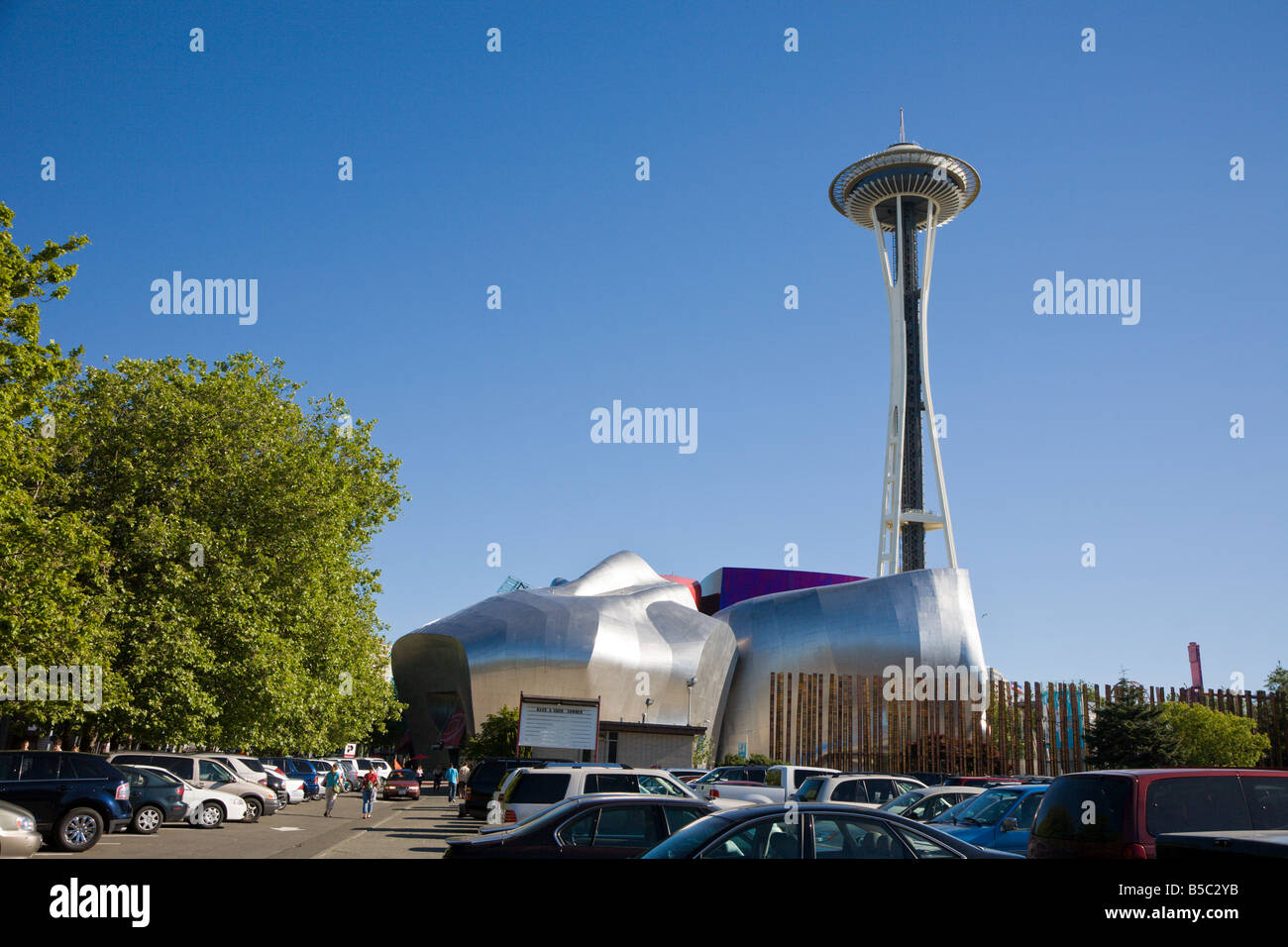 Hojas de pasto, Proyecto de Experiencia Musical, y la Aguja Espacial de Seattle Center en Seattle, Washington Foto de stock