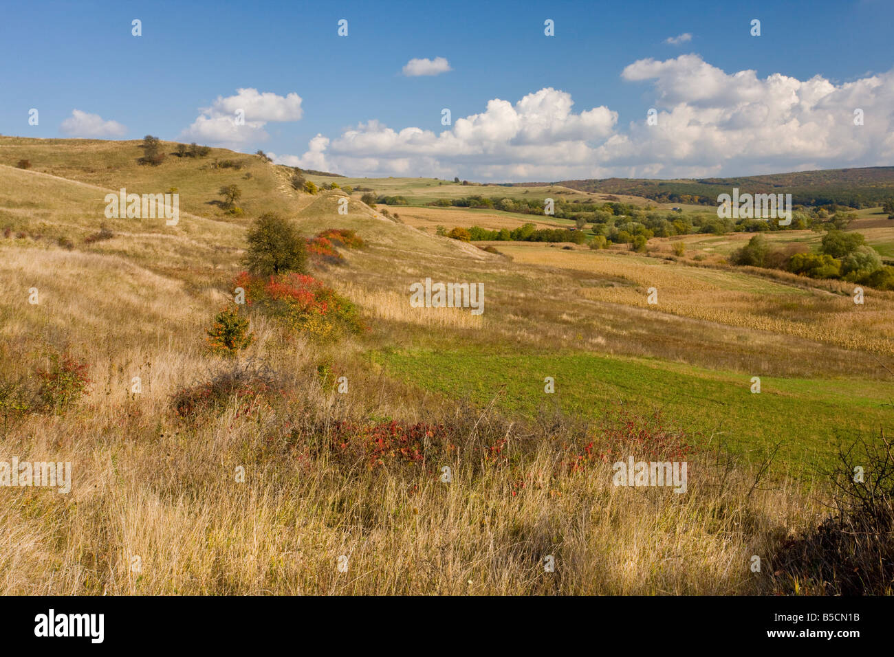 El bucólico paisaje pastoral en el valle cerca de Apold Halmer superior en el área de aldea sajona Transilvania Rumania Foto de stock