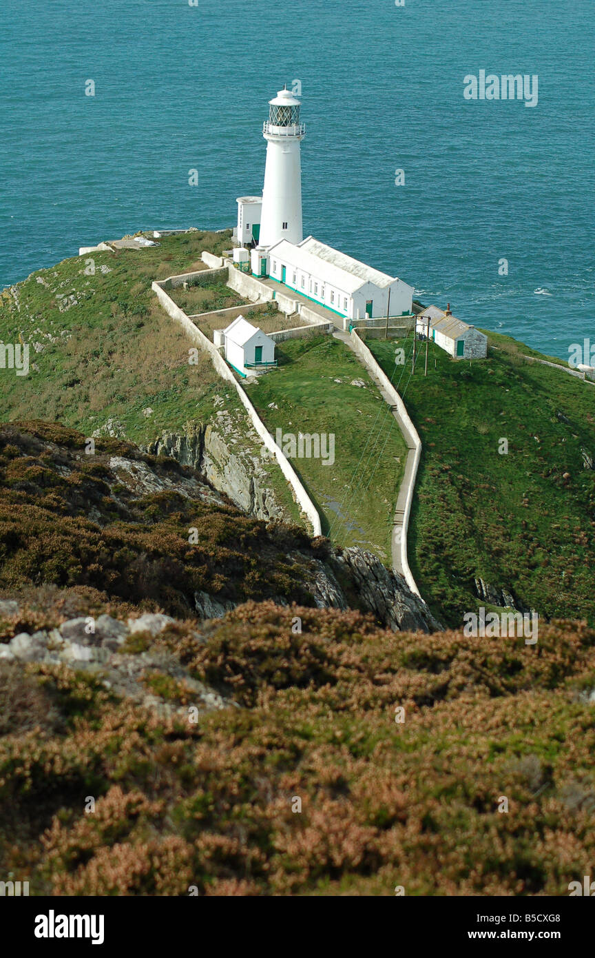 South Stack lighthouse en Anglesey en Gales, Inglaterra Foto de stock