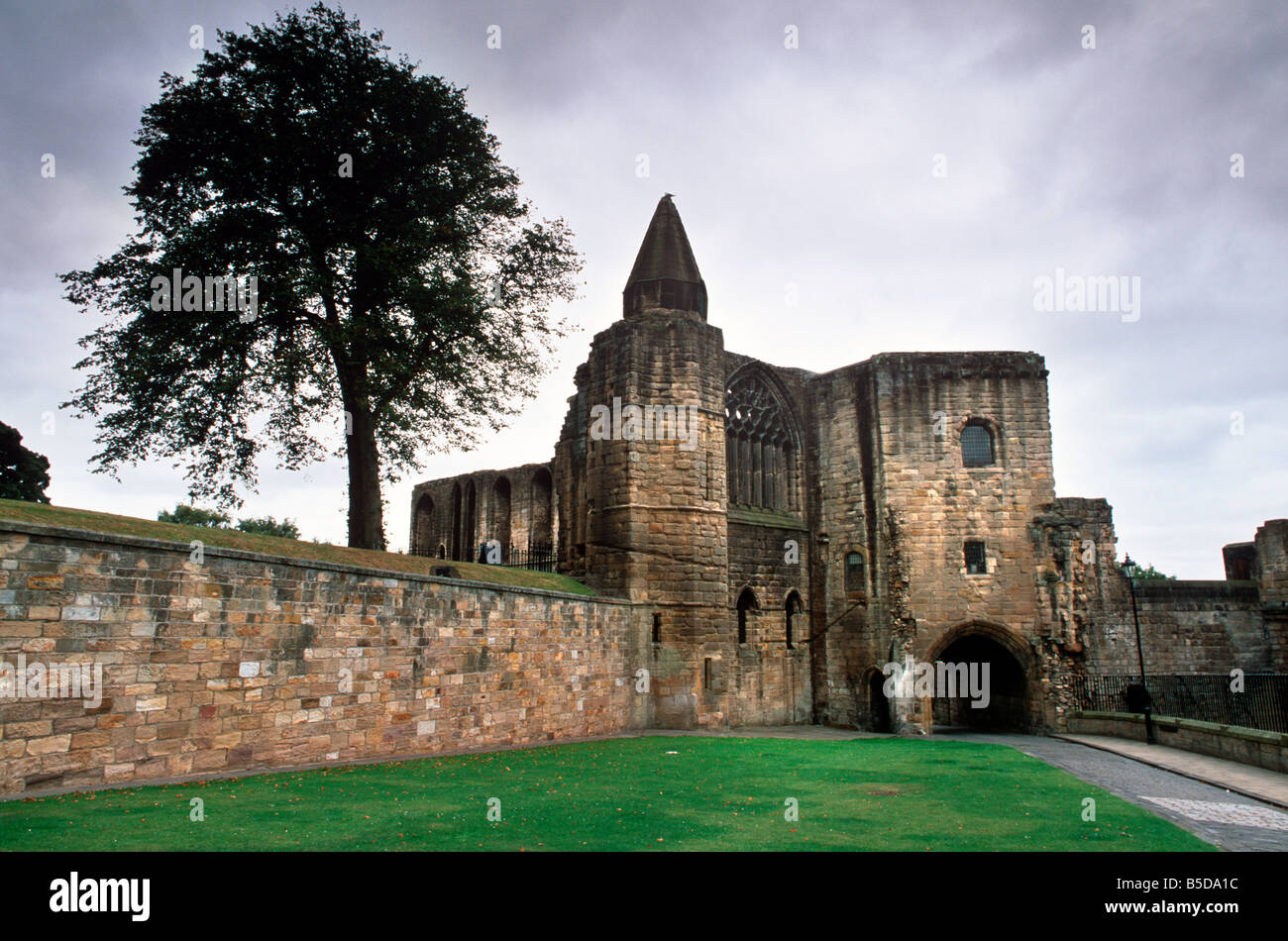 Refectorio, Palacio y Abadía Dunfermline, Fife, Escocia, Europa Foto de stock