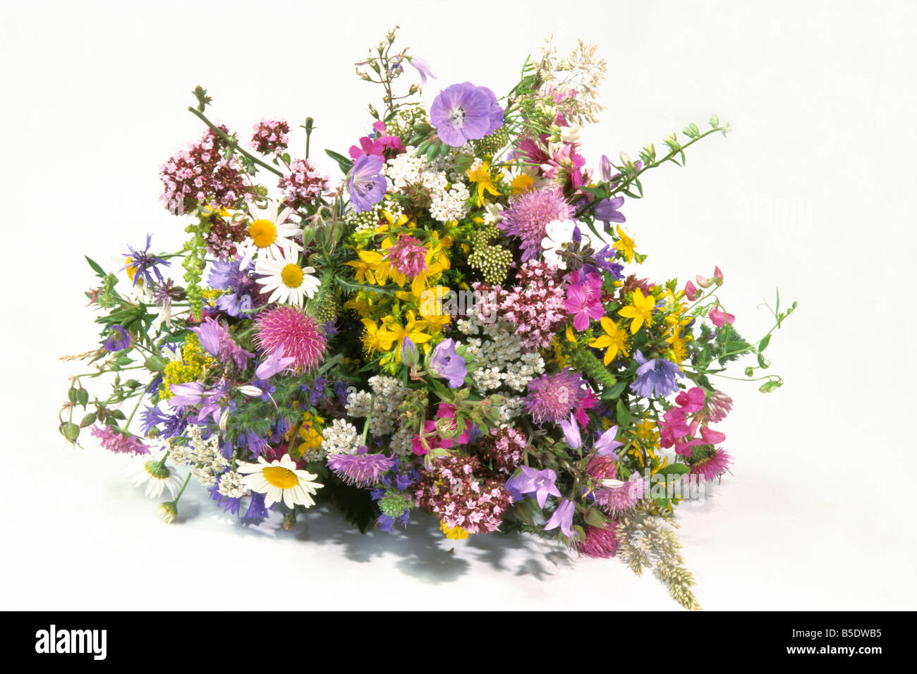 Bouquet de flores silvestres, studio picture Foto de stock