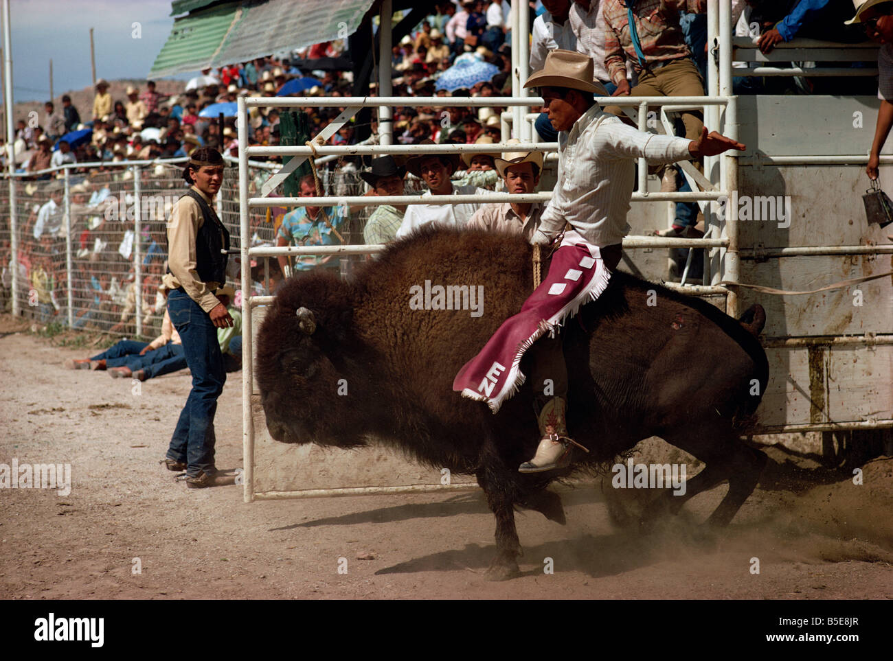 Rodeo caballo, Gallup, Nuevo México, Estados Unidos, América del Norte Foto de stock